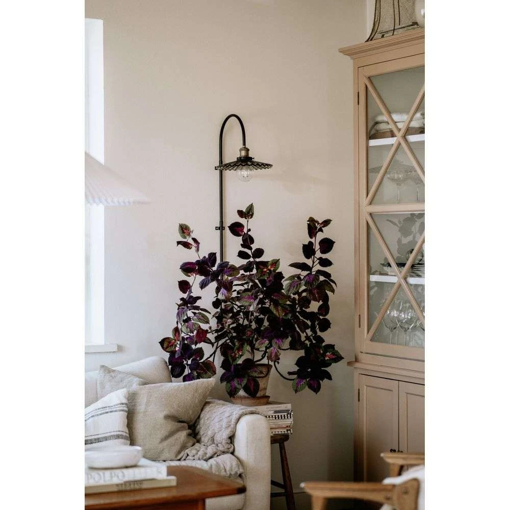 Cobbler 75 Aplique De Pared Rök - Globen Lighting - Imagen 3